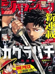 片集卡：城南菜市 漫画 2024 海报